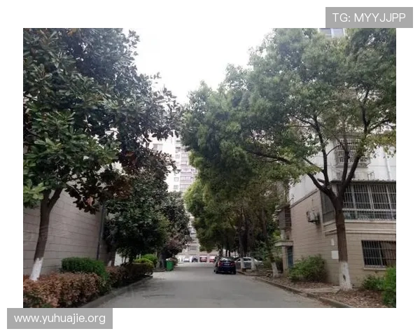 凯发房地产有限公司怎么样：员工福利待遇与企业内部环境评估