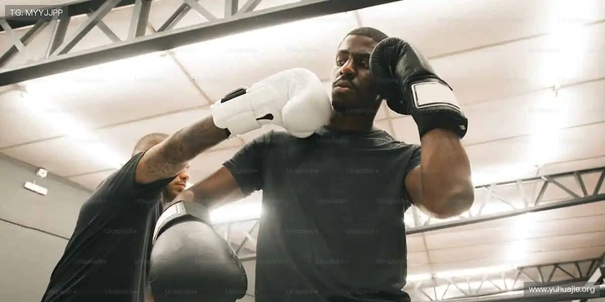 击剑世锦赛投注：格斗中的芭蕾，剑光火石间决出胜负